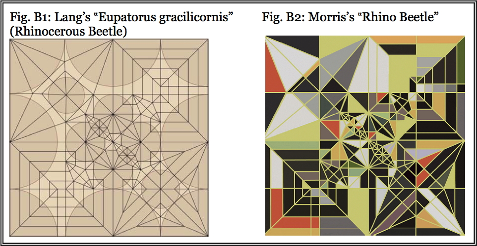 comparison of Lang's 'Eupatorus gracilicornis' to Morris's 'Rhino Beetle'